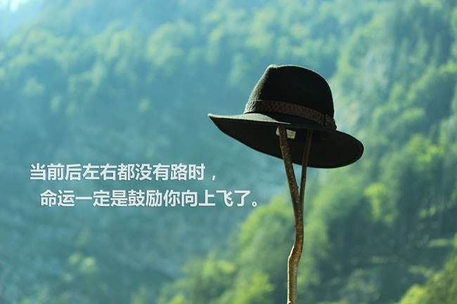 期货交易策略